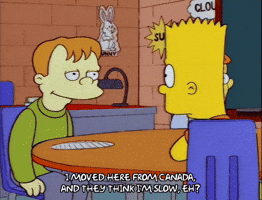 bart simpson canada GIF