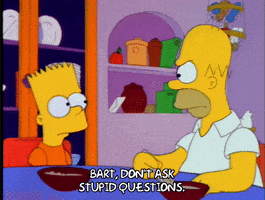 homer simpson GIF