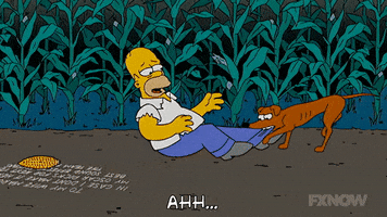 200.gif?cid=fc005b08cc3210331c24dcf51768373a9ce8c3eb5649f076&rid=200.gif&ct=g