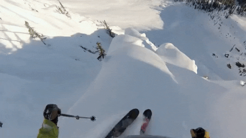 Skiing GIF - Find & Share on GIPHY