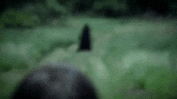 the ring GIF by Topshelf Records