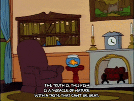 200.gif?cid=fc005b0842e6facab29de943d558ebd1932be85b5f917c7d&rid=200.gif&ct=g