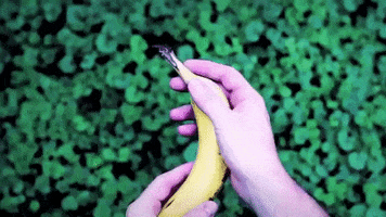 Banana GIF by Topshelf Records
