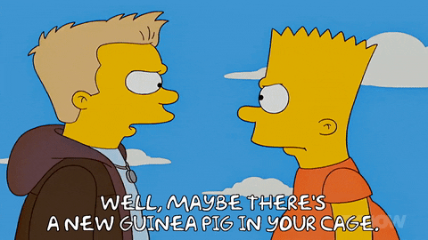 New-guinea GIFs - Get the best GIF on GIPHY