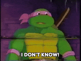 Cartoon gif. Donatello from Teenage Mutant Ninja Turtles raises his hands and shrugs, with a concerned look on his face, saying "I don't know," which appears as text.