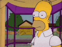 Season 3 Wtf GIF by The Simpsons Season 3 Wtf GIF by The Simpsons