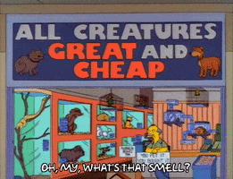200.gif?cid=fc005b08b50d5f23b5258d9be2c20cf0a3feea15c067e796&rid=200.gif&ct=g