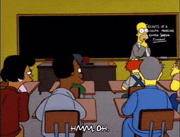 homer simpson episode 22 GIF