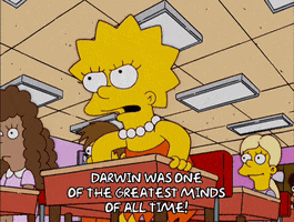 Frustrated Lisa Simpson GIF by The Simpsons