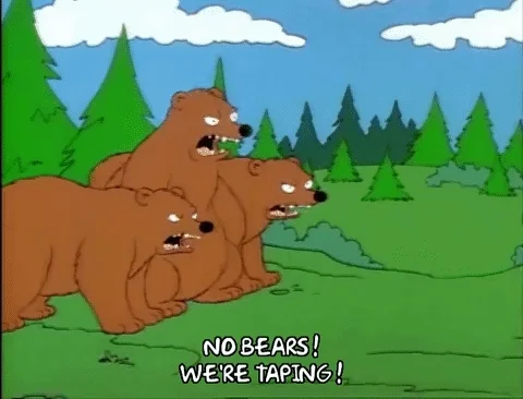 No bears! We're taping!