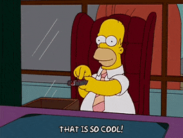 200.gif?cid=fc005b081e3b142fad9106d929c8f428a2548ad65548611f&rid=200.gif&ct=g