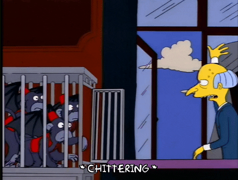 giphy.gif