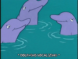 season 5 dolphins GIF