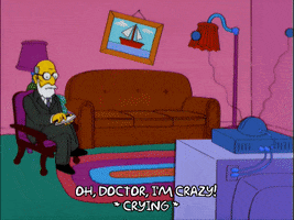 homer simpson therapy GIF