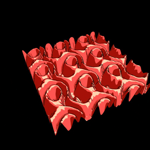 GIF by svensjorokanich