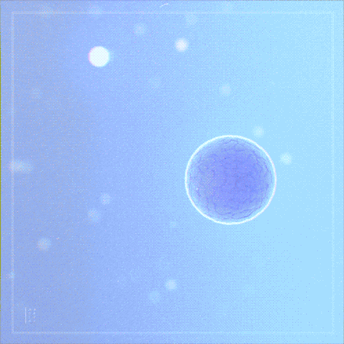 Fun Loop GIF by Nadrient