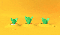 3d GIF by cecy meade
