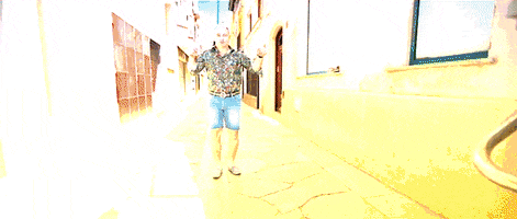 false jul teamjul brigante brigantÃ© GIF