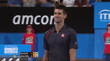 jerrykuonodjsego alright djokovic blame all right GIF