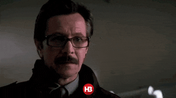 ziggy_iggy_lou  GIF