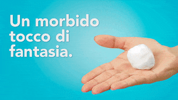 originalcotton originalcotton GIF