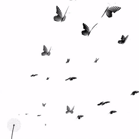 erred  GIF