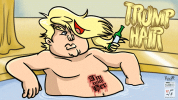 donaldtrump GIF by Switchblade Comb Productions