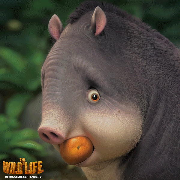 the wild life what GIF by Lionsgate