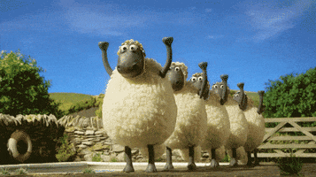 Shaun The Sheep Swimming GIF by Aardman Animations