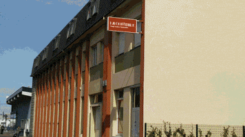 sylviecordenner  GIF