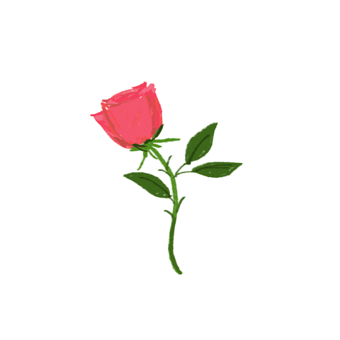 rose flirting GIF by Denyse®