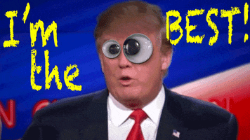 Stupid Trump GIFs - Get the best GIF on GIPHY