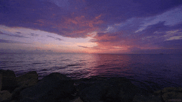 Water Sea GIF by Living Stills