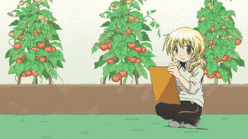 kuukikei hidamari sketch GIF