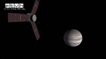 vutrutrongtamtay juno GIF