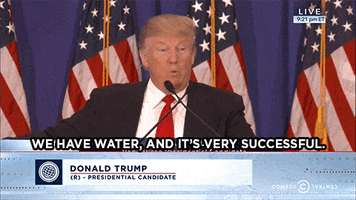 donald trump GIF by The Daily Show with Trevor Noah