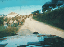 tonypuh  GIF