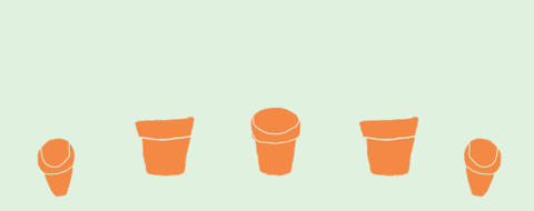 Animation of plants growing GIF by whateverbeclever