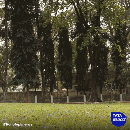 tataglucoplus non stop energy tyre pushing GIF