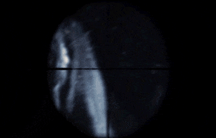 maziartaran  GIF