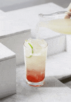 sea breeze cocktail GIF by Absolut Vodka