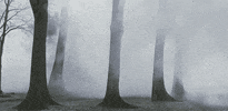 fog GIF