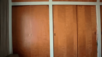 exit44ent stupid dumb idiot you're stupid GIF