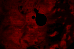 Red Glitch Gifs Get The Best Gif On Giphy