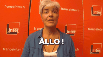 France_Inter #franceinter #fabiennesintes #telsonne #allo GIF