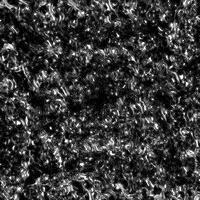 200w.gif