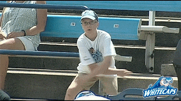 happy grand rapids GIF by West Michigan Whitecaps 