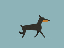 Millmotion animation dog illustration design GIF