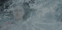 #Koelnerhaie #Torschuetze #Del Lalonde GIF by Kölner Haie