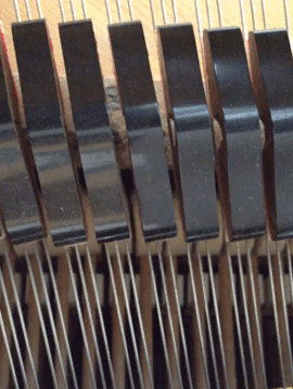 glenbarkman  GIF